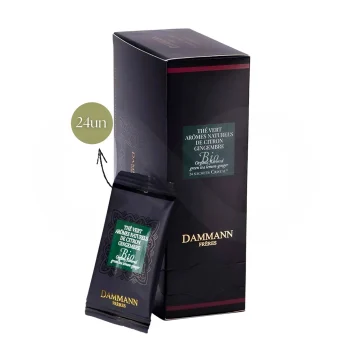 DAMMANN FRÈRES® Tea Arômes Citron Gingembre Bio 24 un.