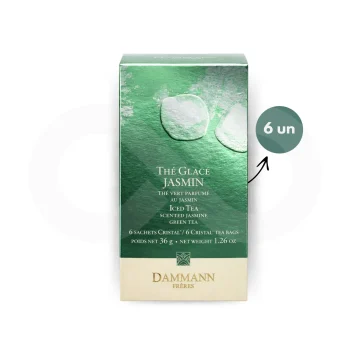 DAMMANN FRÈRES® Tea Thé Glacé Jasmin 6 un.