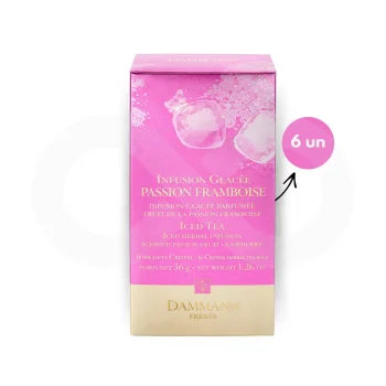DAMMANN FRÈRES® Tea Glacée Passion Framboise 6 un.