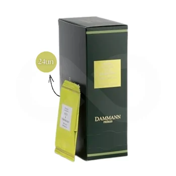 DAMMANN FRÈRES® Infusion Nuit à Versailles 24 un.