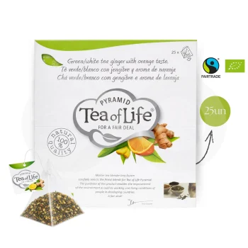TEA OF LIFE® Tea Ginger And Orange 25 un.