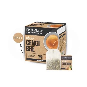 PLANTANATUR® Tea Ginger 10 un.
